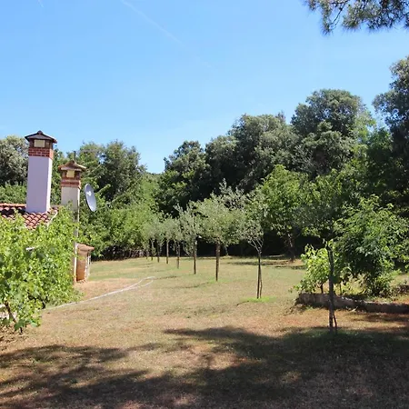 Casa Ava Mare