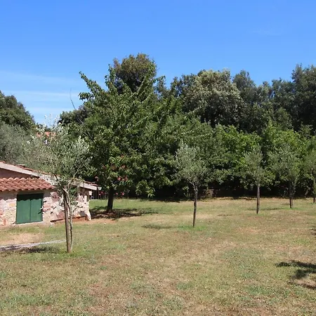Casa Ava Mare Ровинь