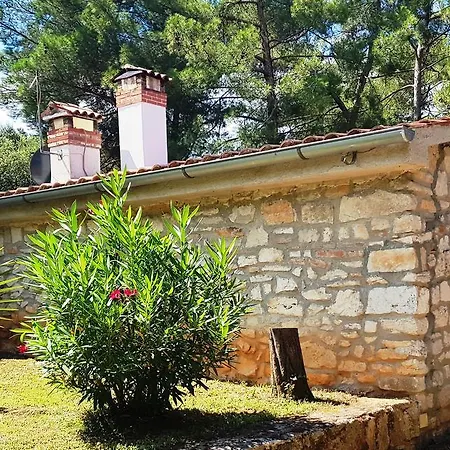 Casa Ava Mare * Ровинь